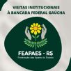 Feapaes-RS investe no relacionamento com Legislativo Federal para manter e ampliar captao de recursos para as Apaes Gachas